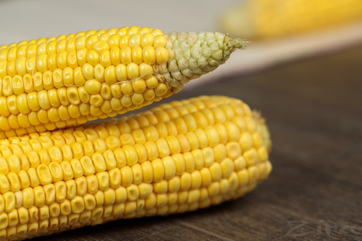 6 интересных фактов о кукурузе — Zira.uz